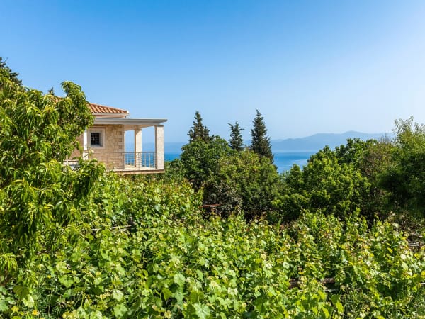 Part of the wrap-around terraces looking out to sea.